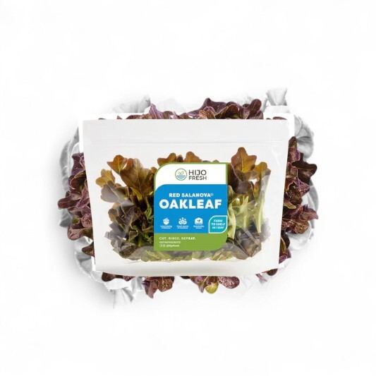 Red Salanova Oakleaf Lettuce by Hijo Fresh 1