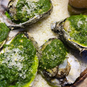 Oysters (Set of 6)
