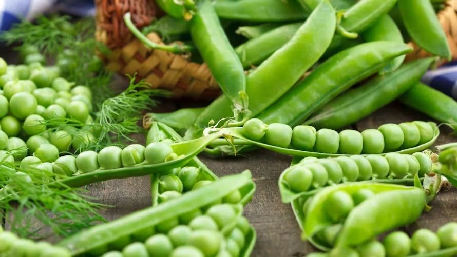 Fresh Young Garden Peas thumbnail 2