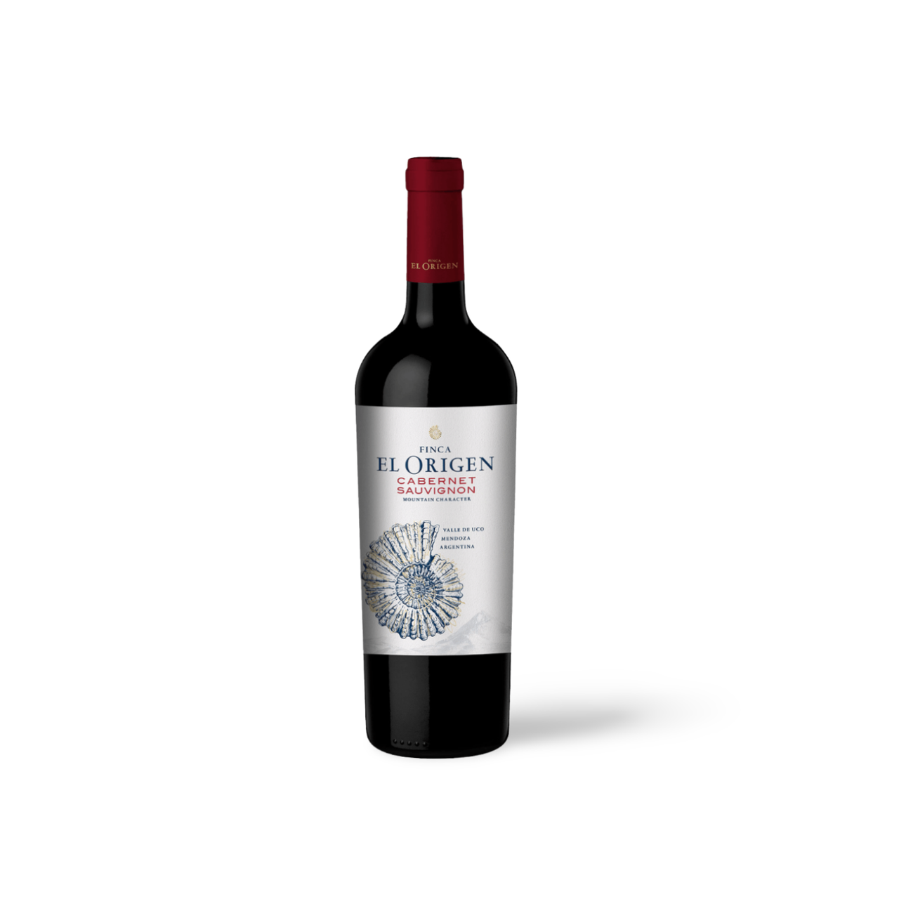 Processed image with background removed