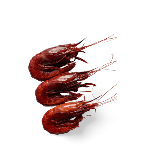 Frozen Carabineros Prawns from Spain