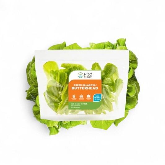Green Salanova Butterhead Lettuce by Hijo Fresh 1