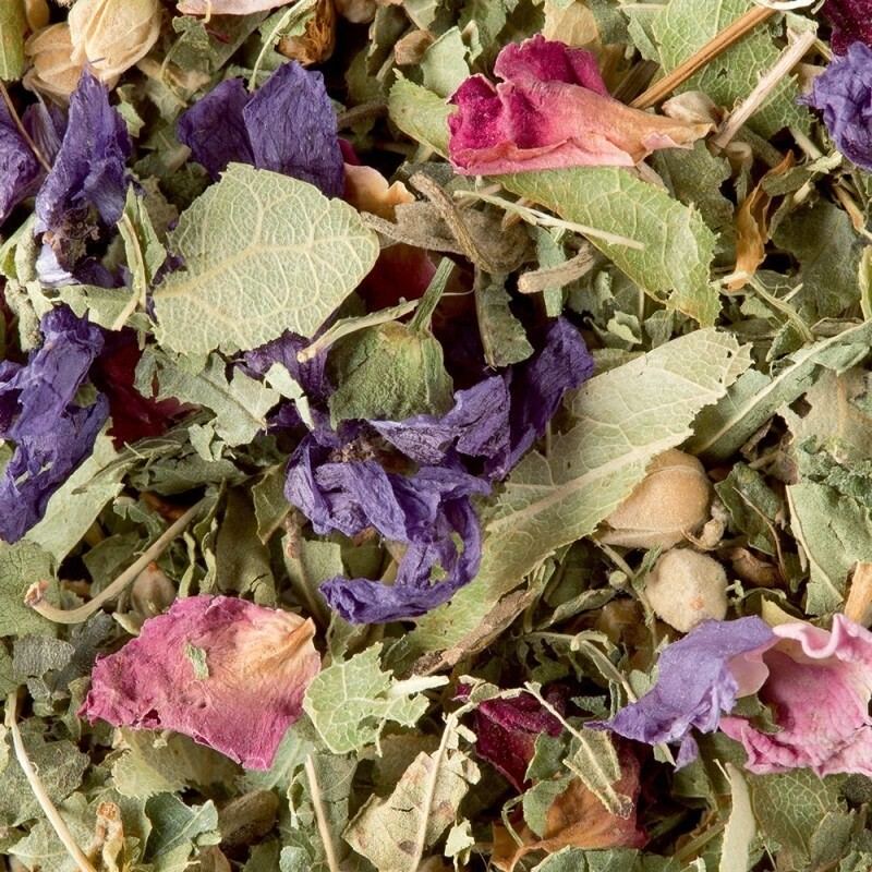 Dammann Frères Tisane des Merveilles Tea Bags thumbnail 2