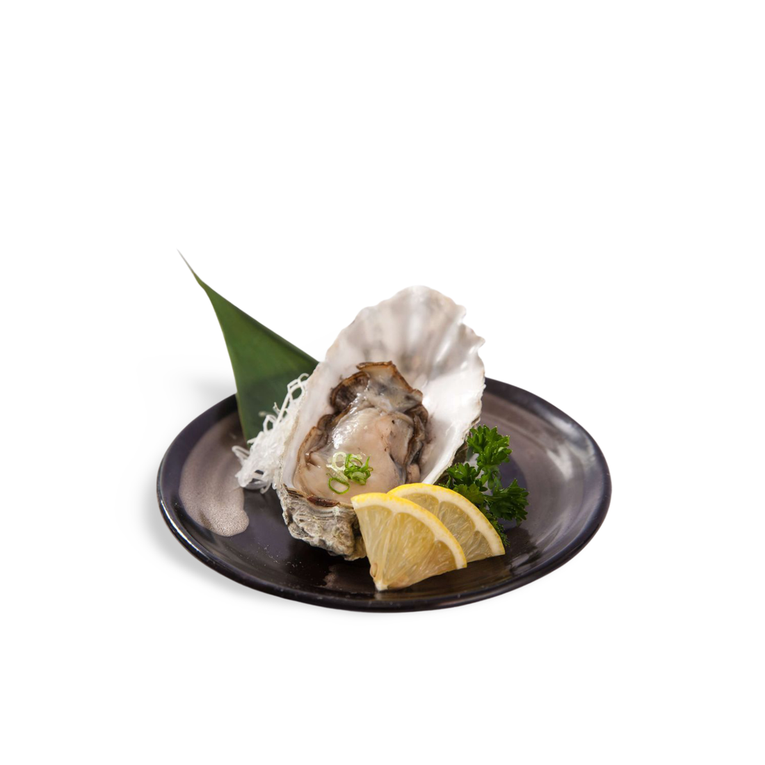 Nama Kaki Fuga (Sashimi Grade Whole Shell Oyster) 1