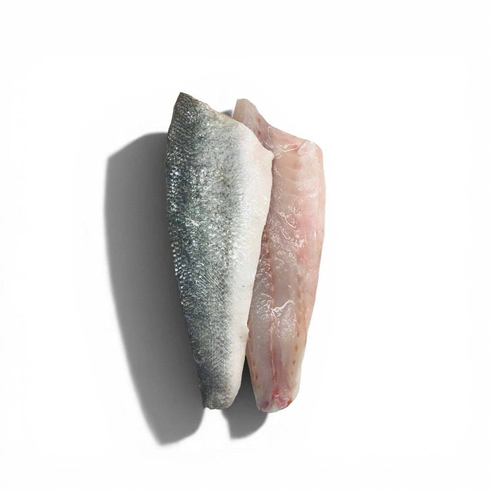 Farmed Sea Bass Fillet 1