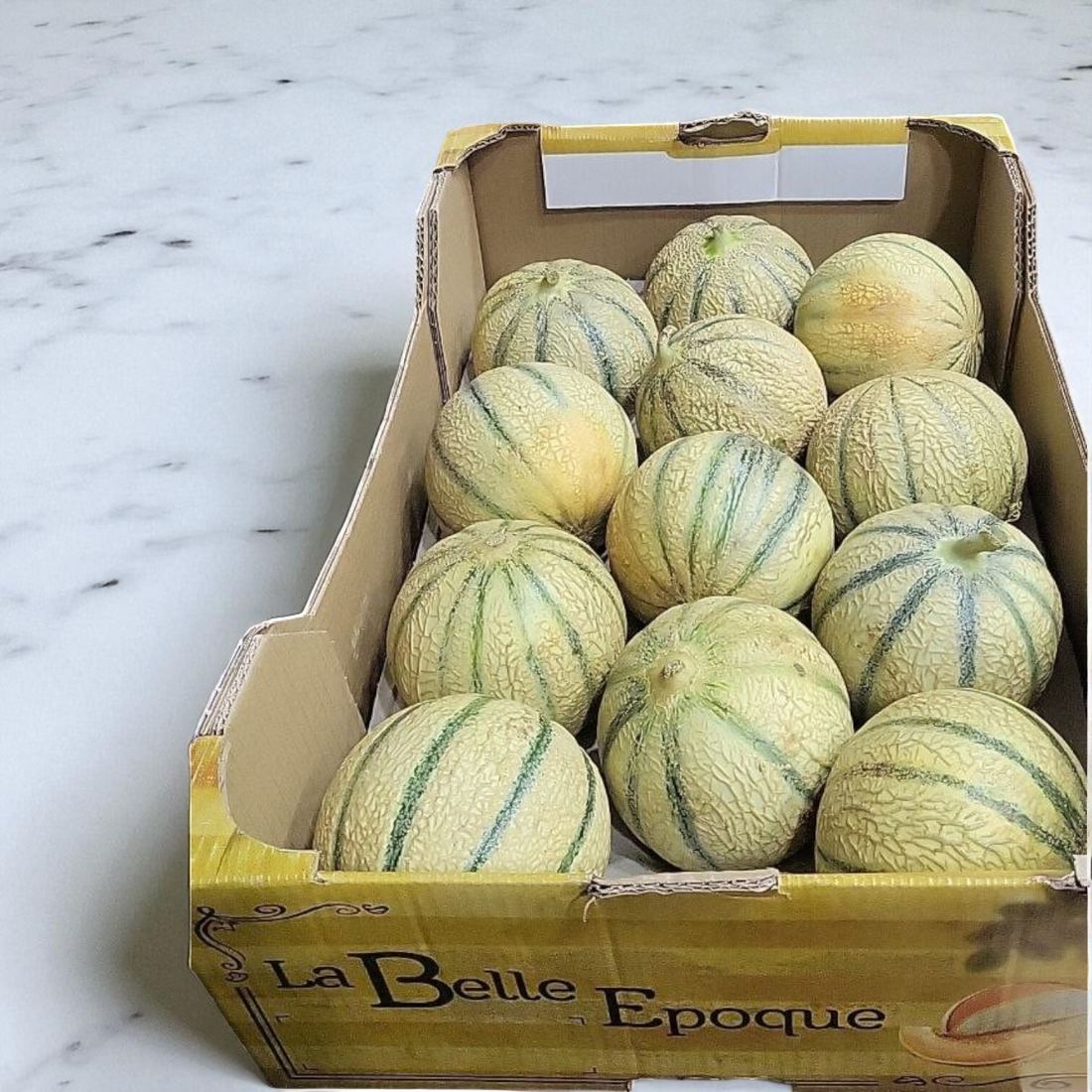 Melon La Belle Époque thumbnail 2