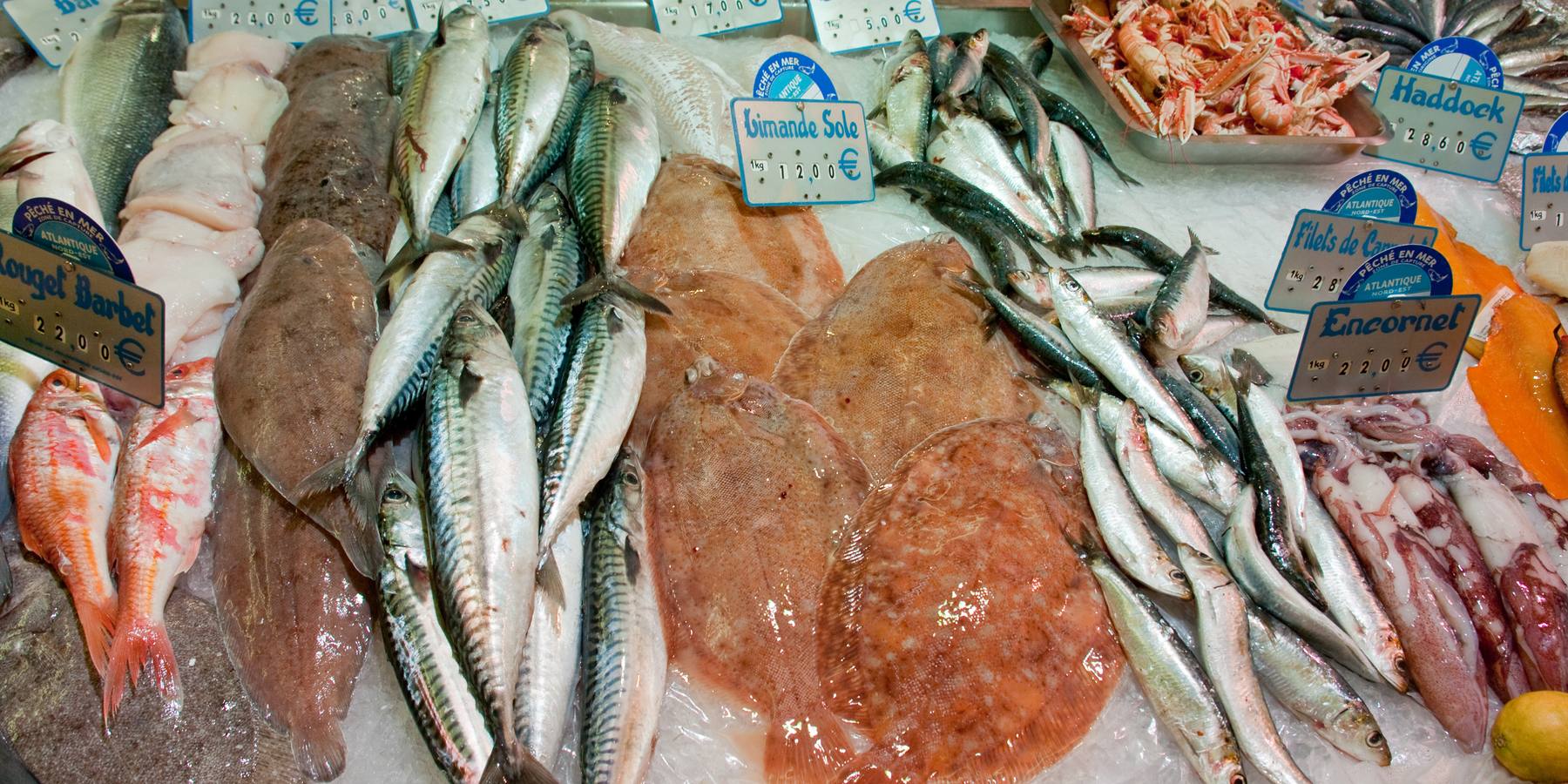 Fresh Seafood