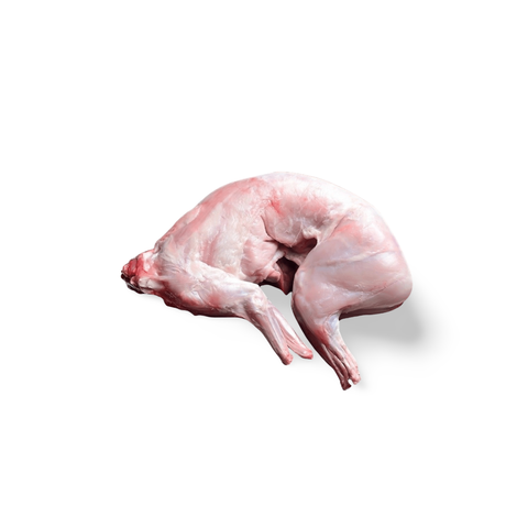 Whole Rabbit from France