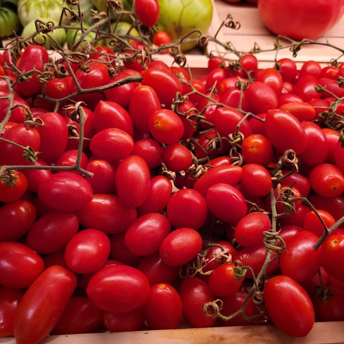 Datterino Cherry Tomatoes thumbnail 3