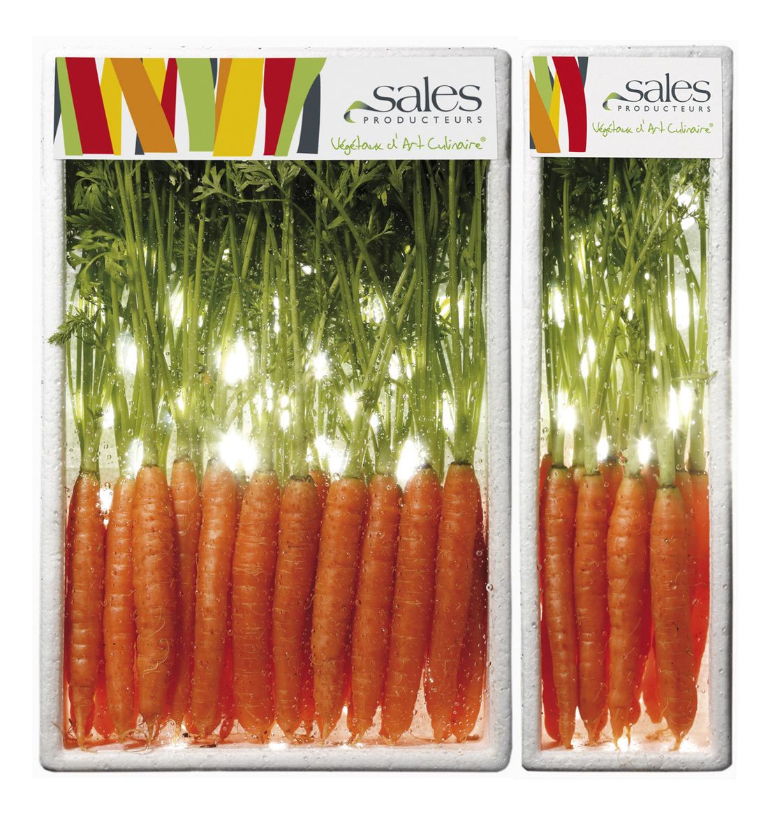 Fresh Heirloom Baby Carrot by Maison Salès 1