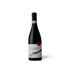 Monte Faustino L'amarone del Maestro Fornaser