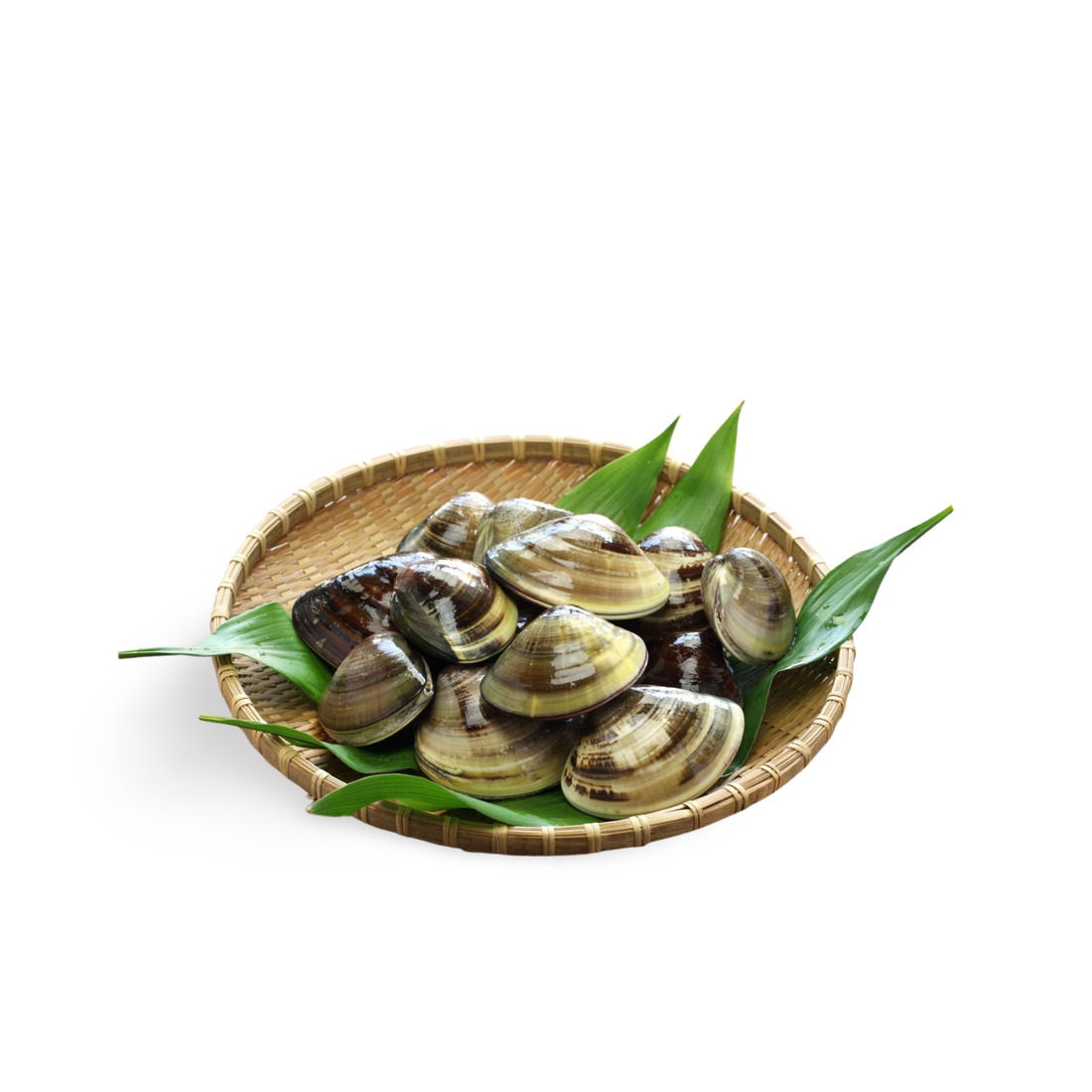 Fresh Tennen Hamaguri (Japanese Common Orient Clam) thumbnail 2
