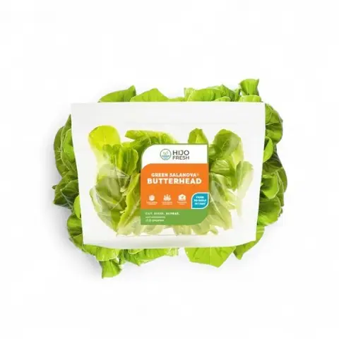 Green Salanova Butterhead Lettuce by Hijo Fresh
