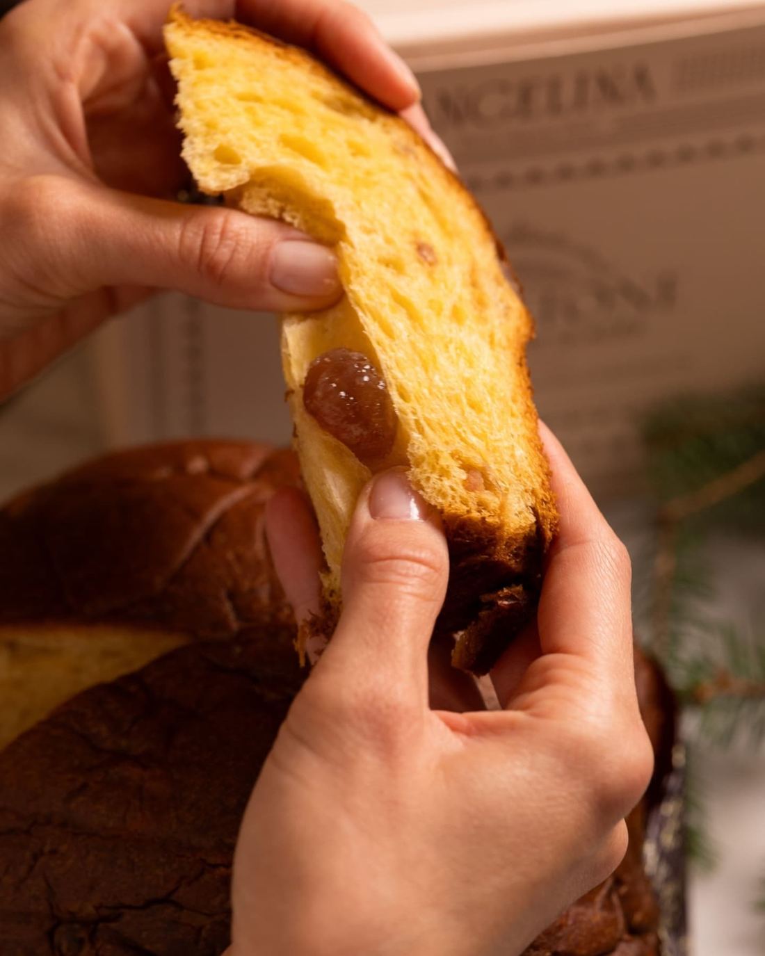 Angelina Panettone with Candied Chestnuts thumbnail 4