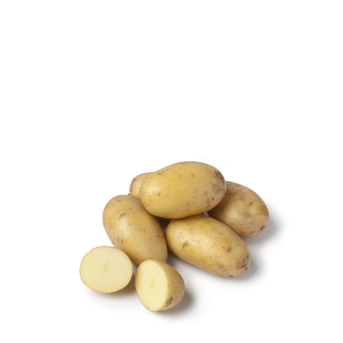Ratte Grenaille Potatoes from France 1