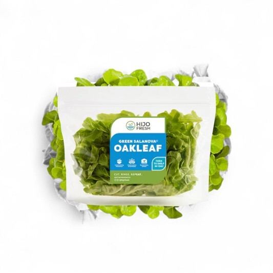 Green Salanova Oakleaf Lettuce by Hijo Fresh 1