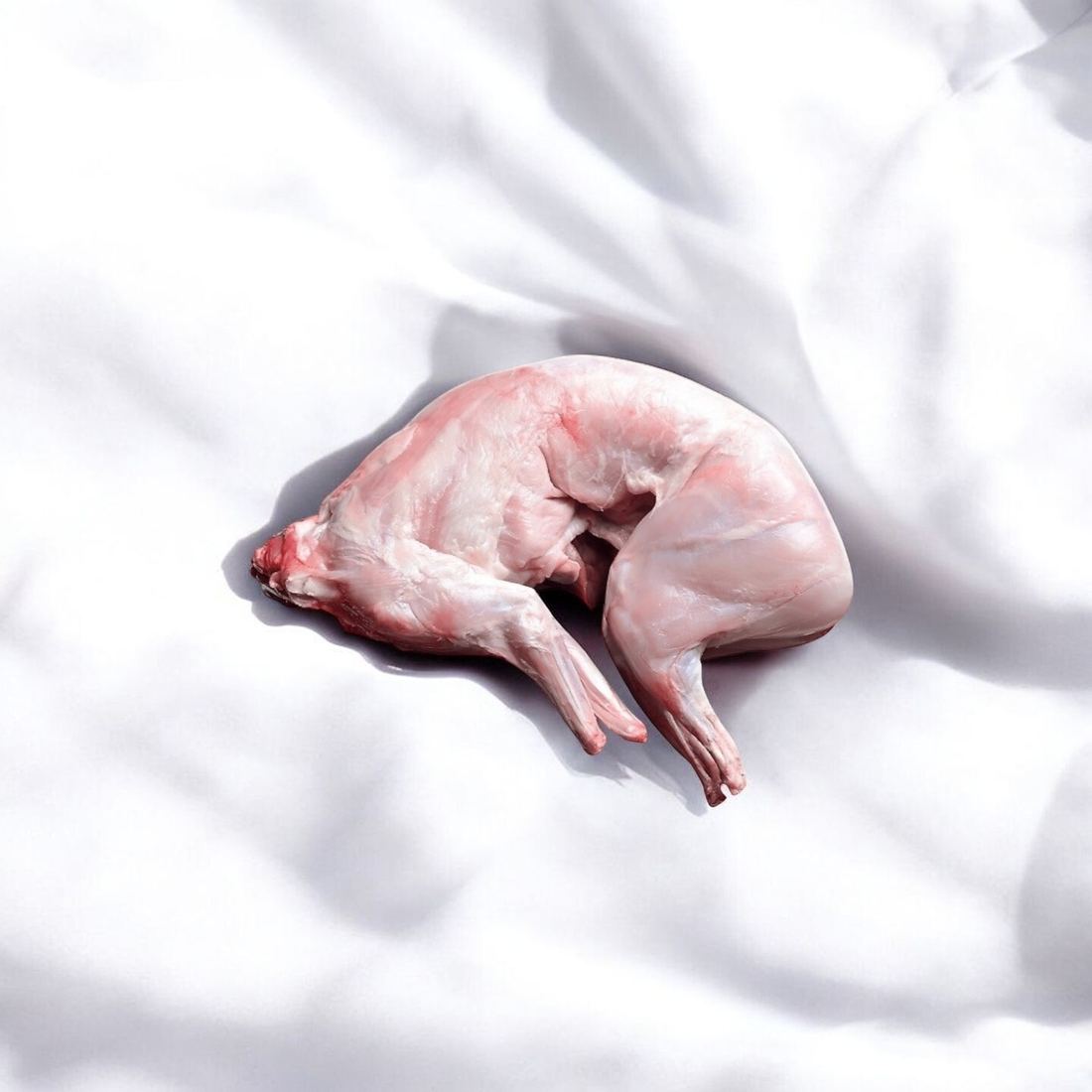 Whole Rabbit from France 1