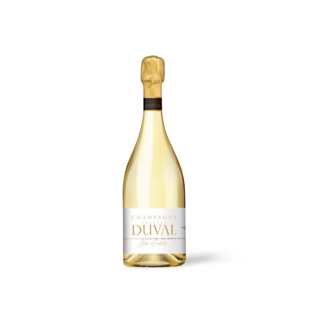 Processed image with background removed