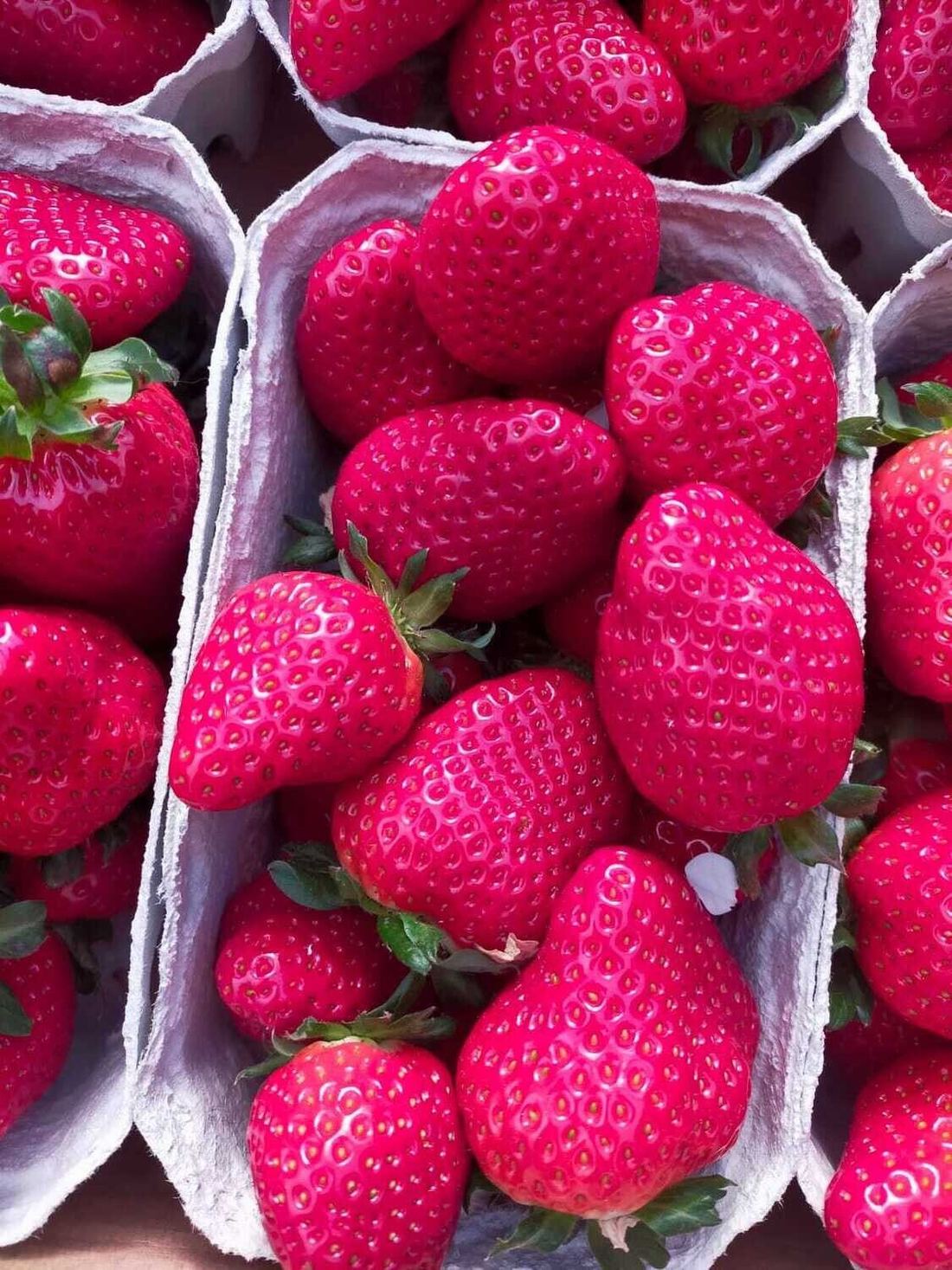 Fresh Dream Strawberry thumbnail 3