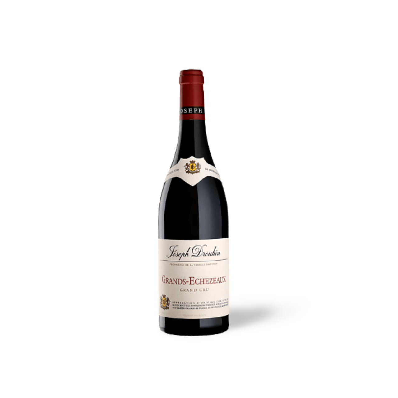 Processed image with background removed