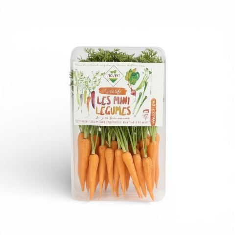 Mini Carrots 1