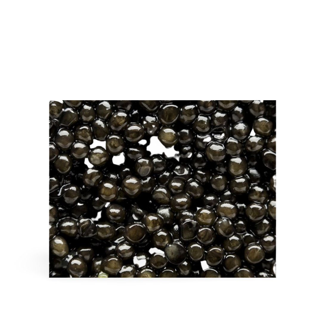Sturia Baeri Classic Caviar thumbnail 3