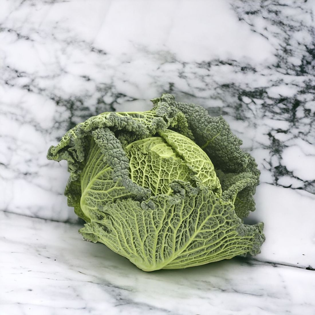 Savoy Cabbage from France 1