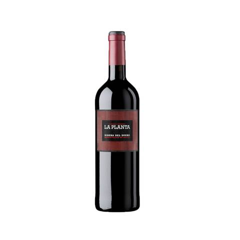 Bodegas Arzuaga Navarro La Planta