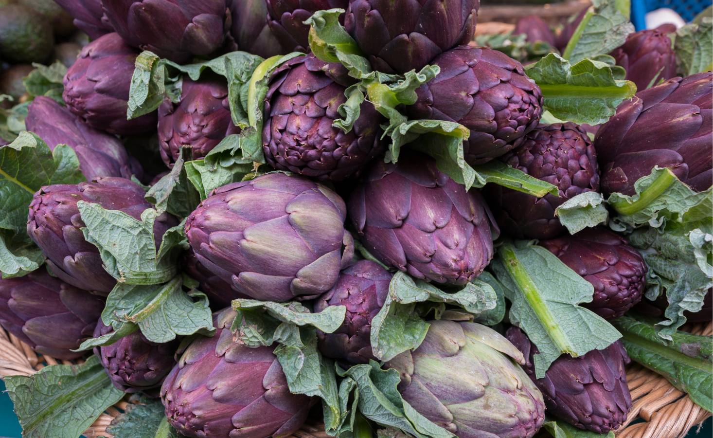 Artichokes at the Bastille weekend market, Paris, France. March through May is the perfect time to enjoy them