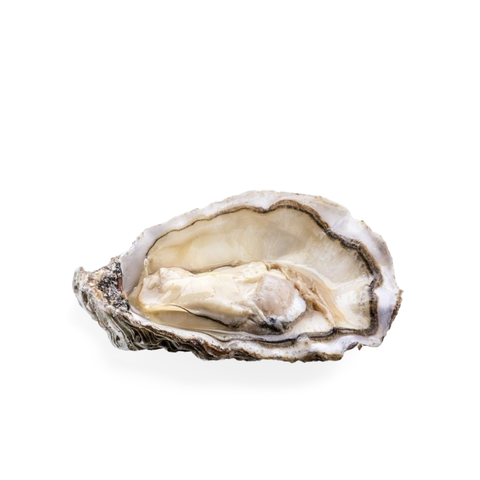 Tsarskaya Special Oysters