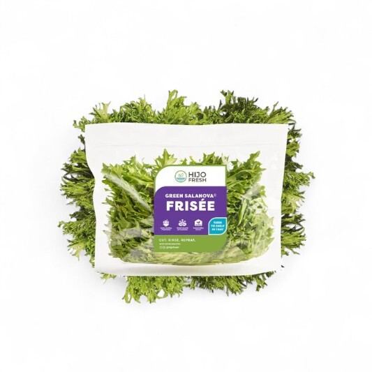 Green Salanova Frisée Lettuce by Hijo Fresh 1