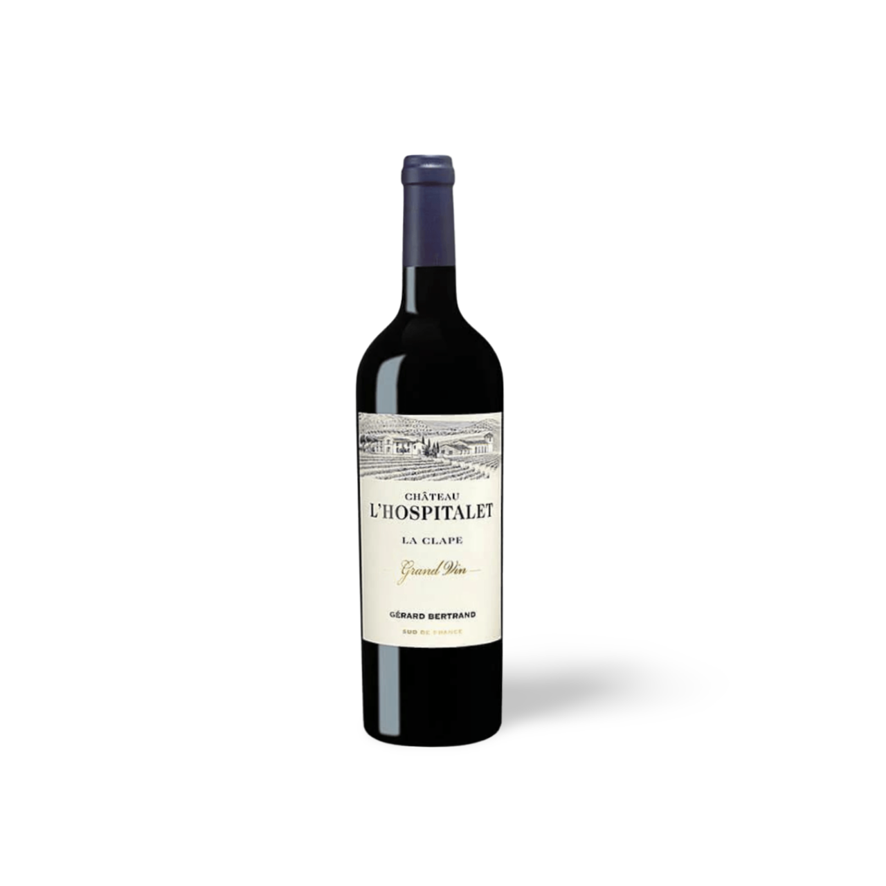 Processed image with background removed