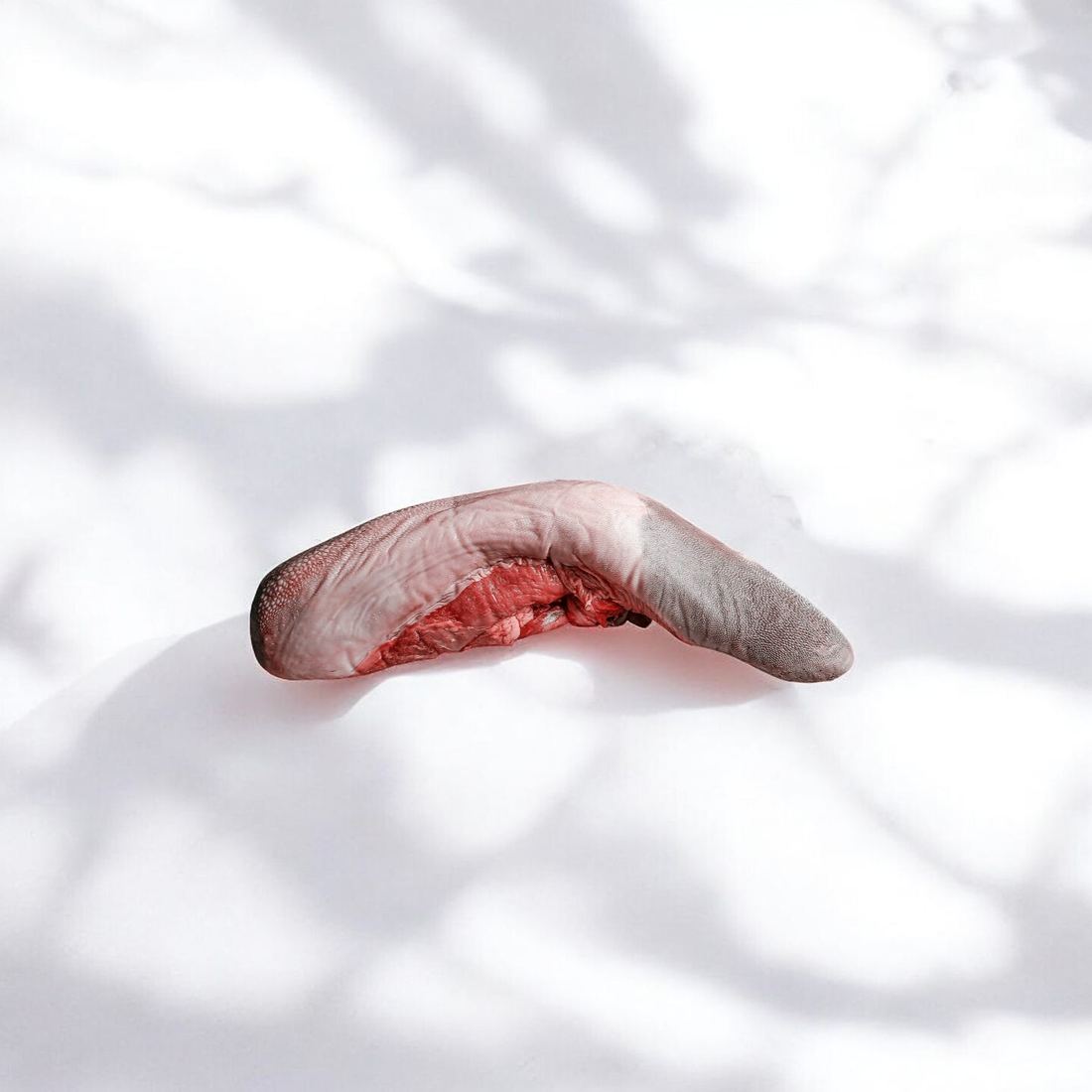 Ox Tongue from France 1