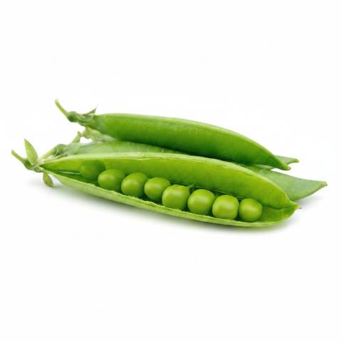 Fresh Young Garden Peas
