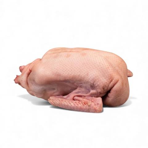 Whole Goose for Roasting