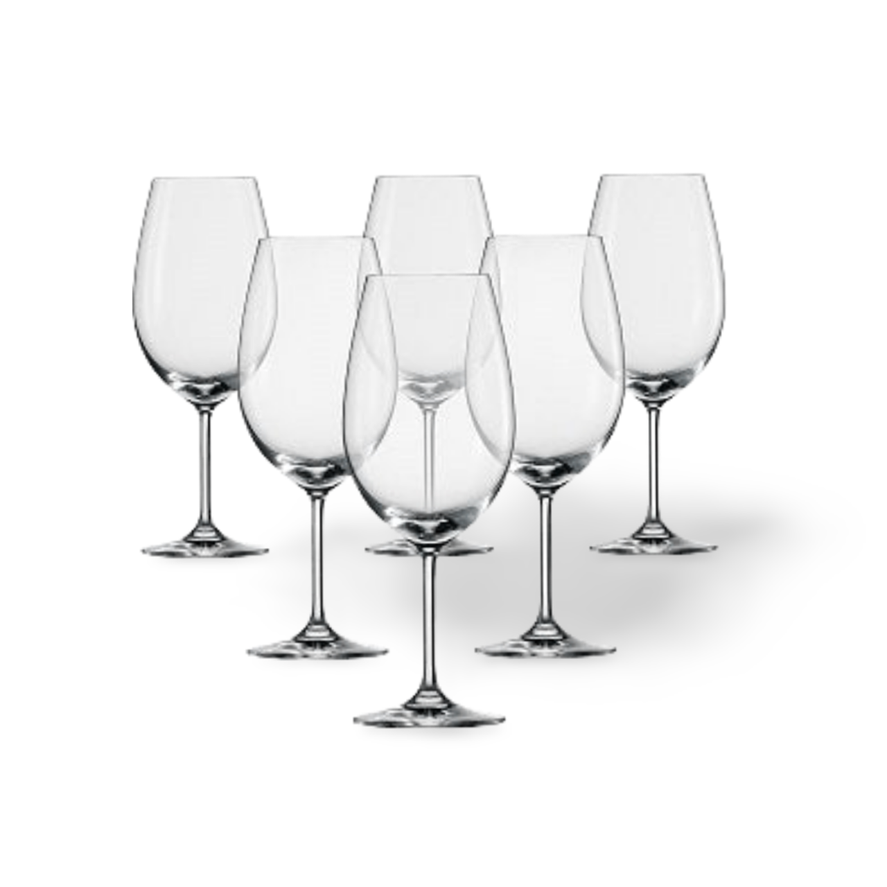 Processed image with background removed