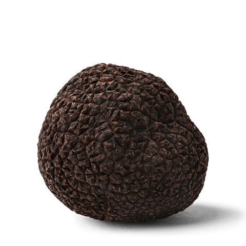 Fresh Black Winter Truffle (Tuber Melanosporum)