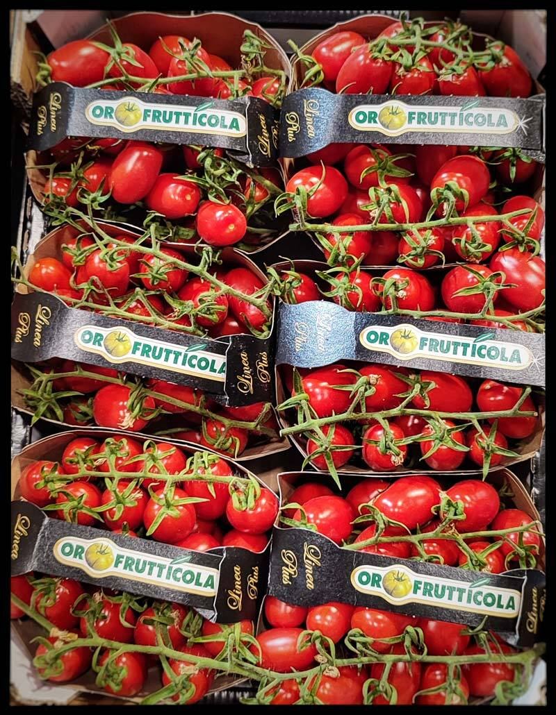 Datterino Cherry Tomatoes thumbnail 2