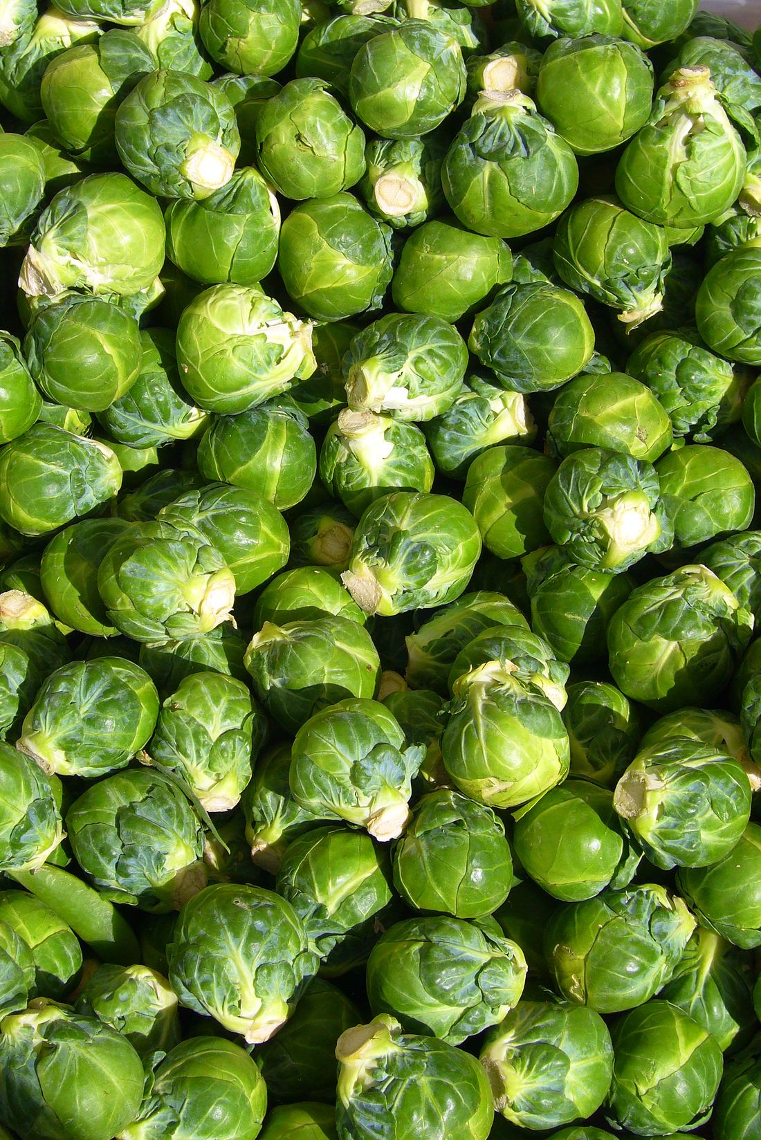 Fresh Brussels Sprouts 1
