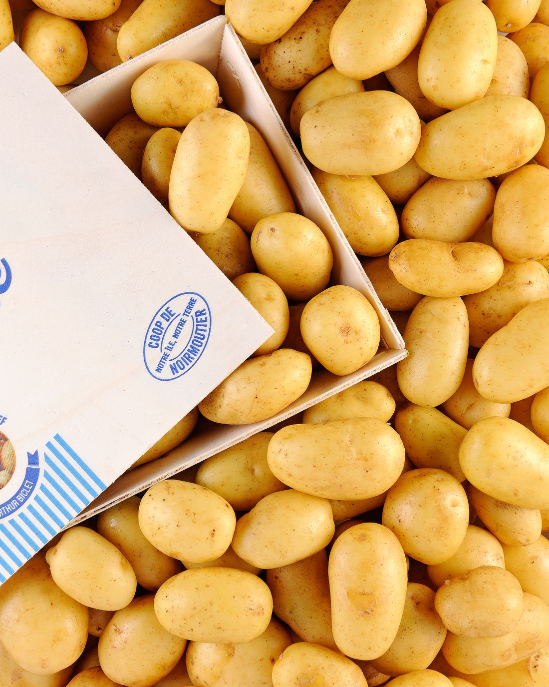 Grenailles de Noirmoutier Baby Potatoes IGP thumbnail 2