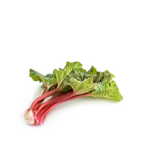 Fresh Rhubarb from France