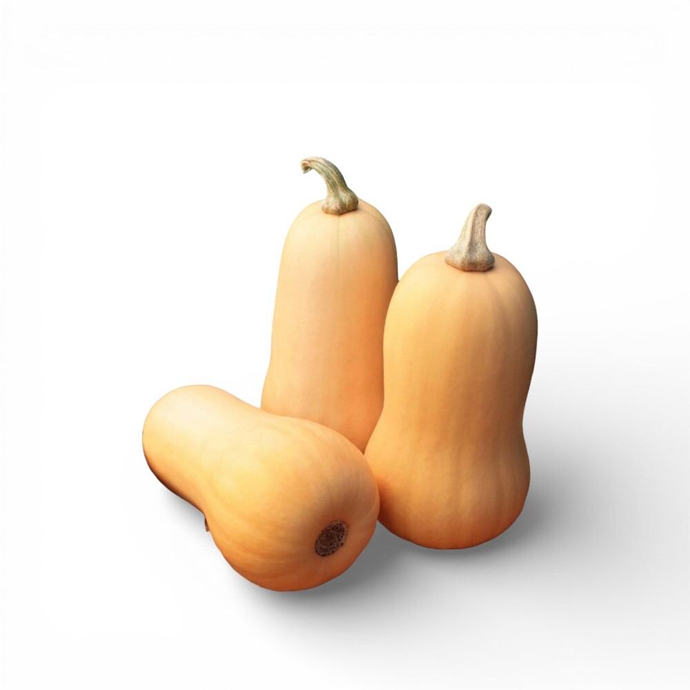 Butternut Squash 1