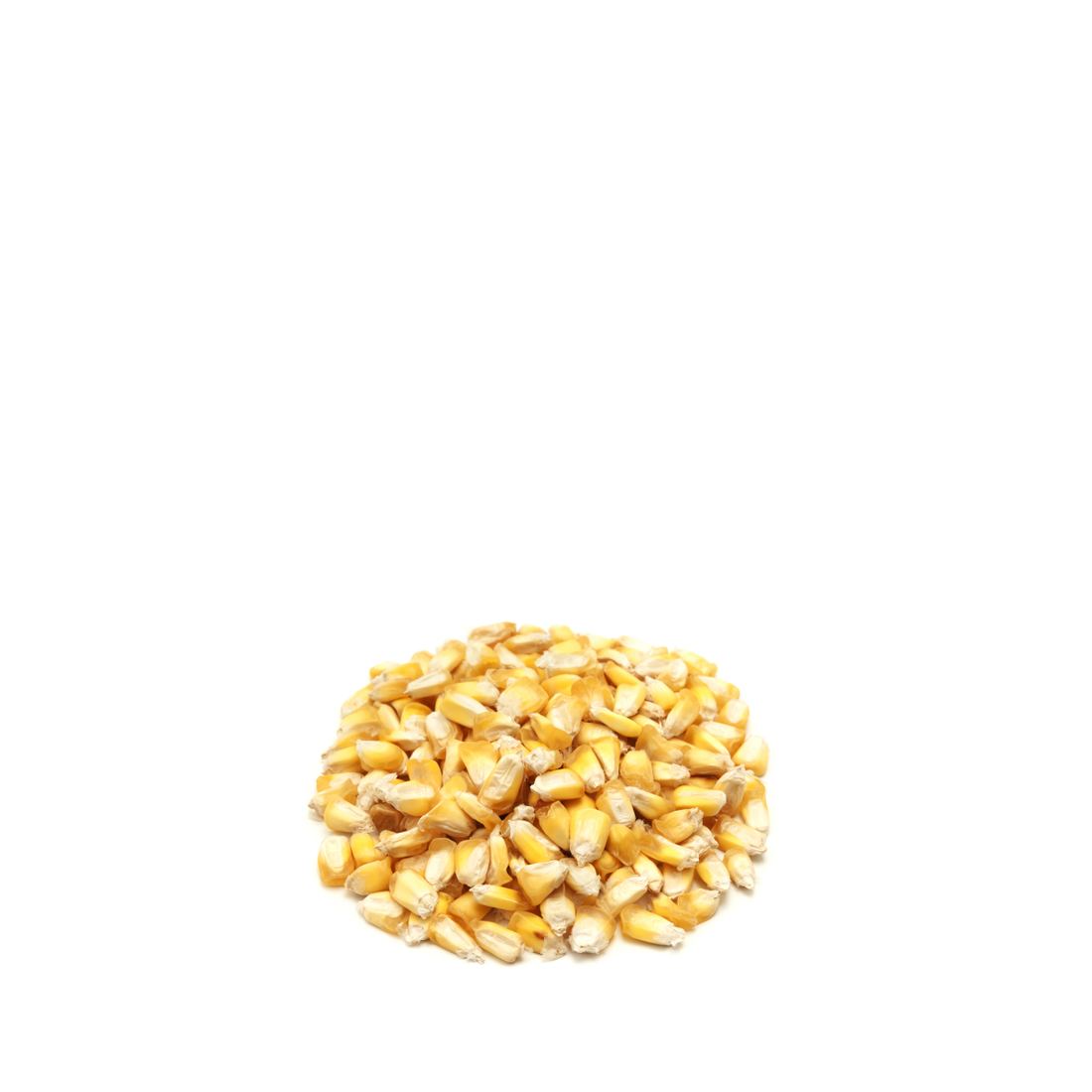 Maiz Cancha (Dried Corn Cancha) 1