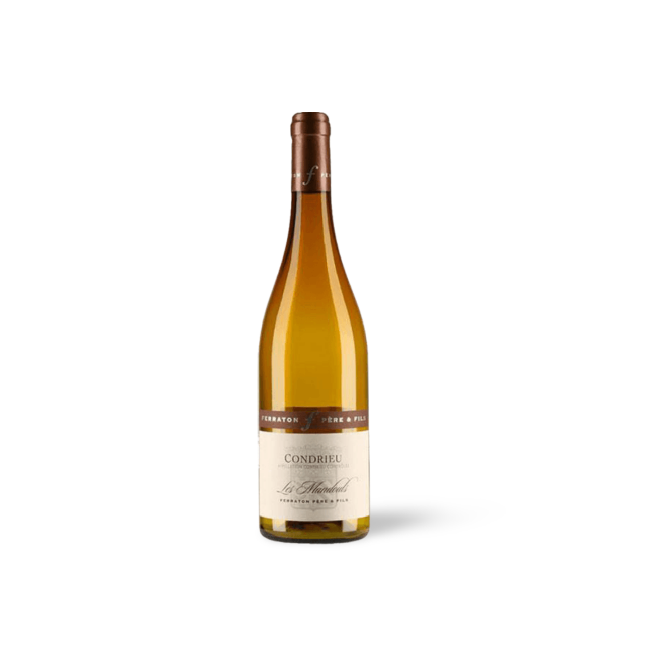 Processed image with background removed