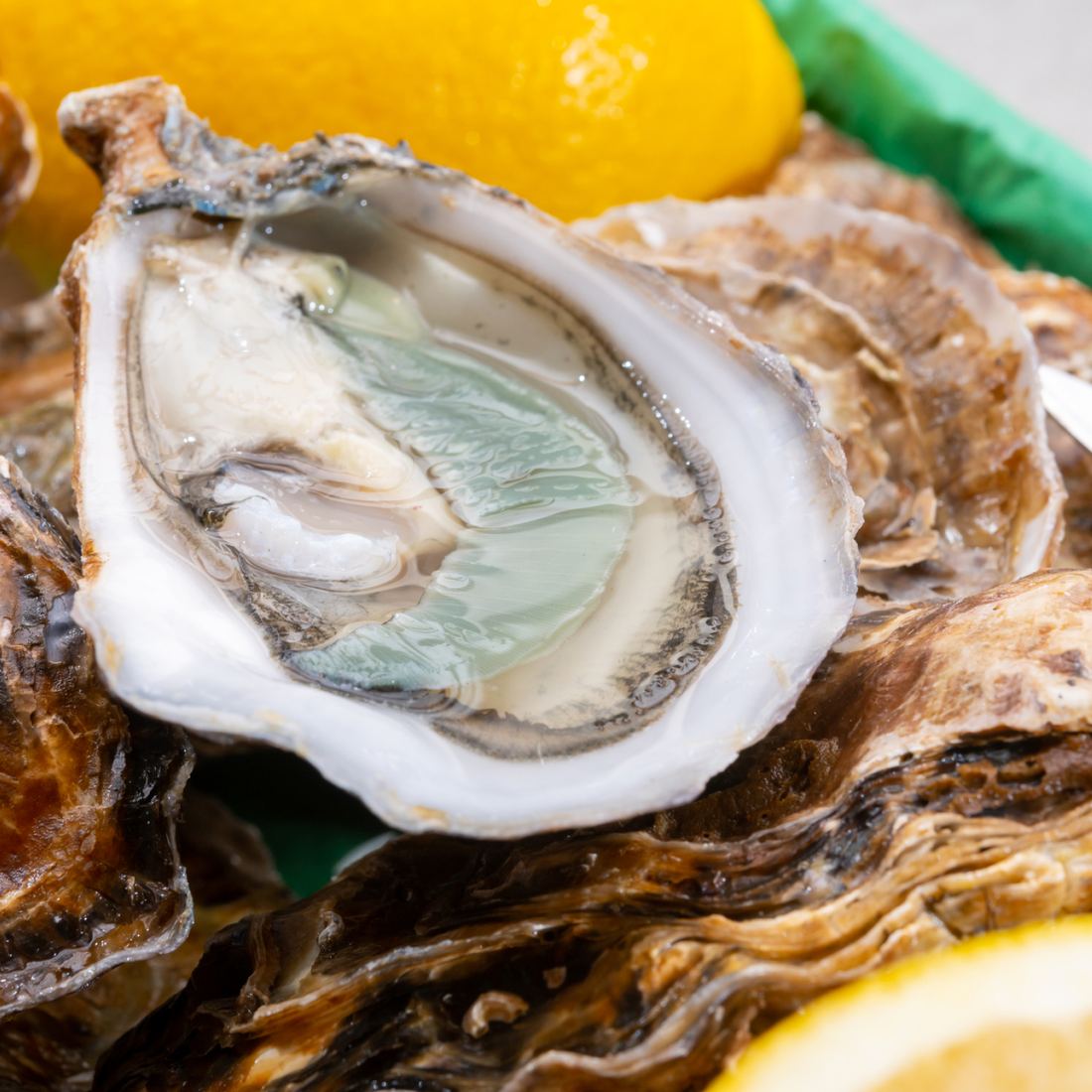 Air-Flown Live French Alienor Fine de Claire Oysters thumbnail 2