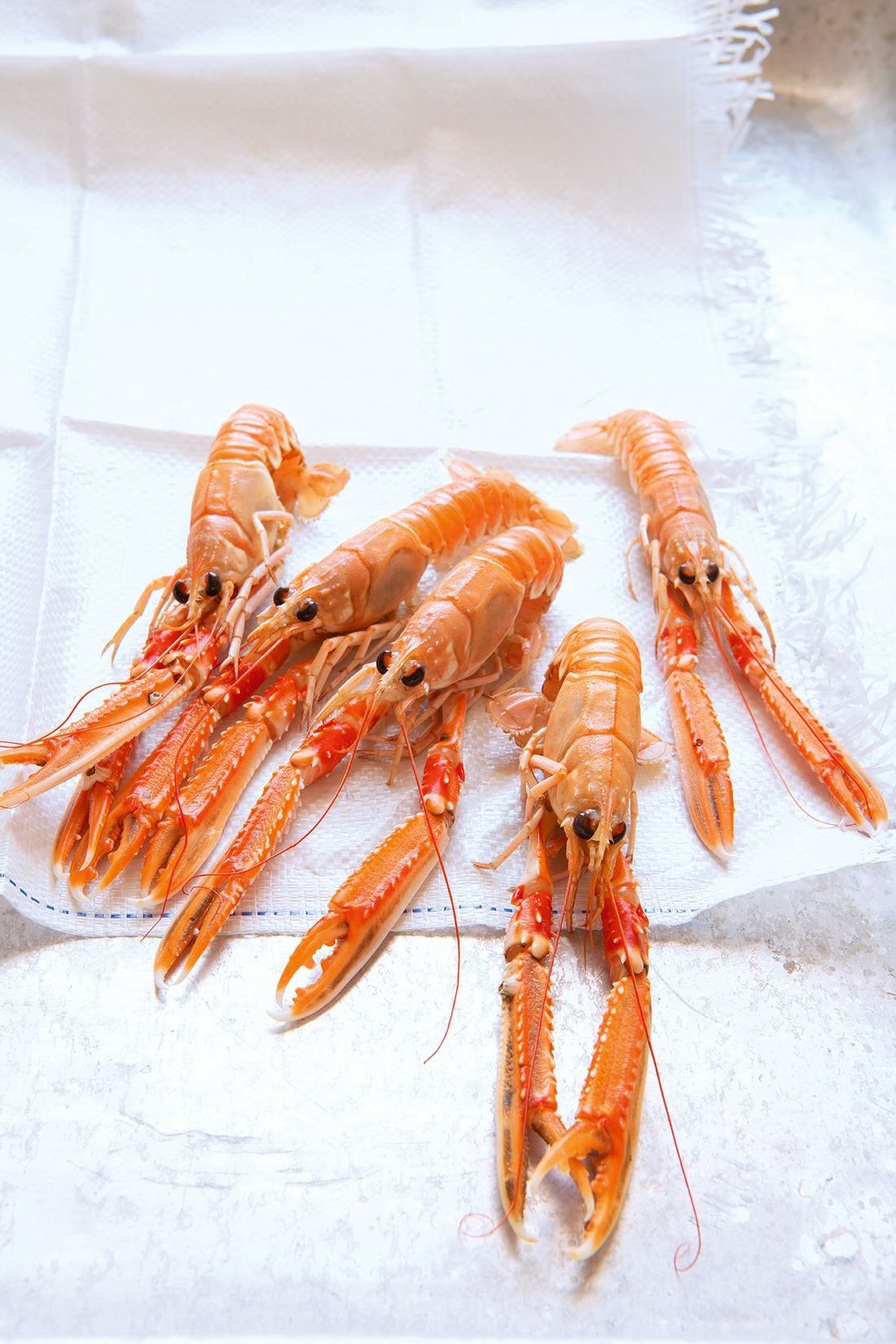 Frozen Big Scampi (Langoustines) thumbnail 2