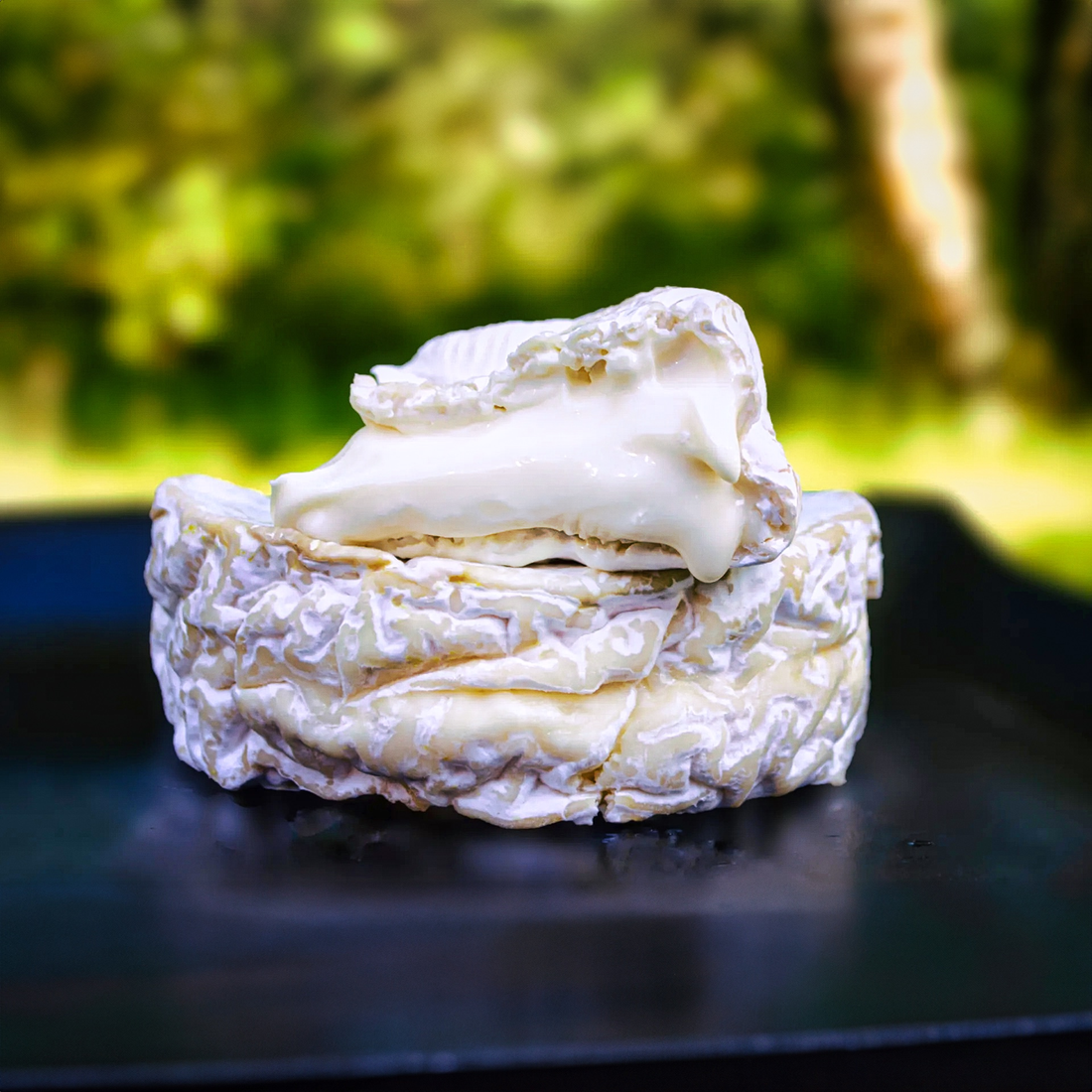 Les 5 Frères Farmhouse Camembert from Normandie thumbnail 2