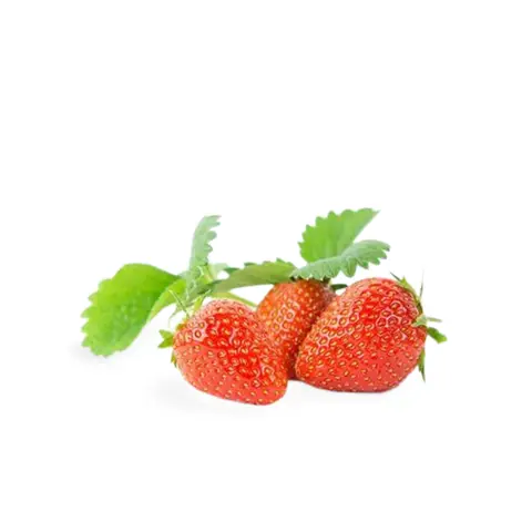 Anais Strawberries by Anne-Sophie’s Farm in France