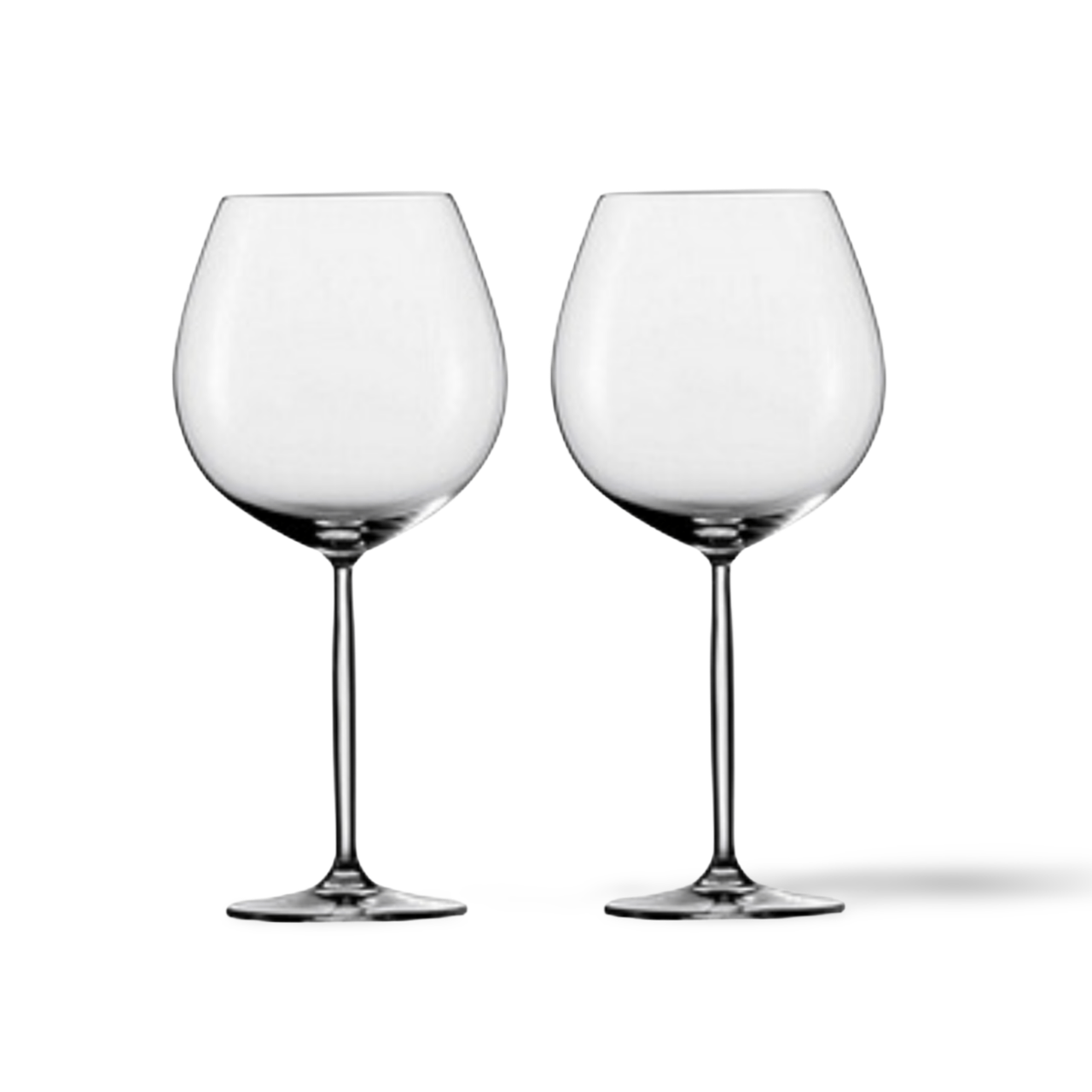 Processed image with background removed