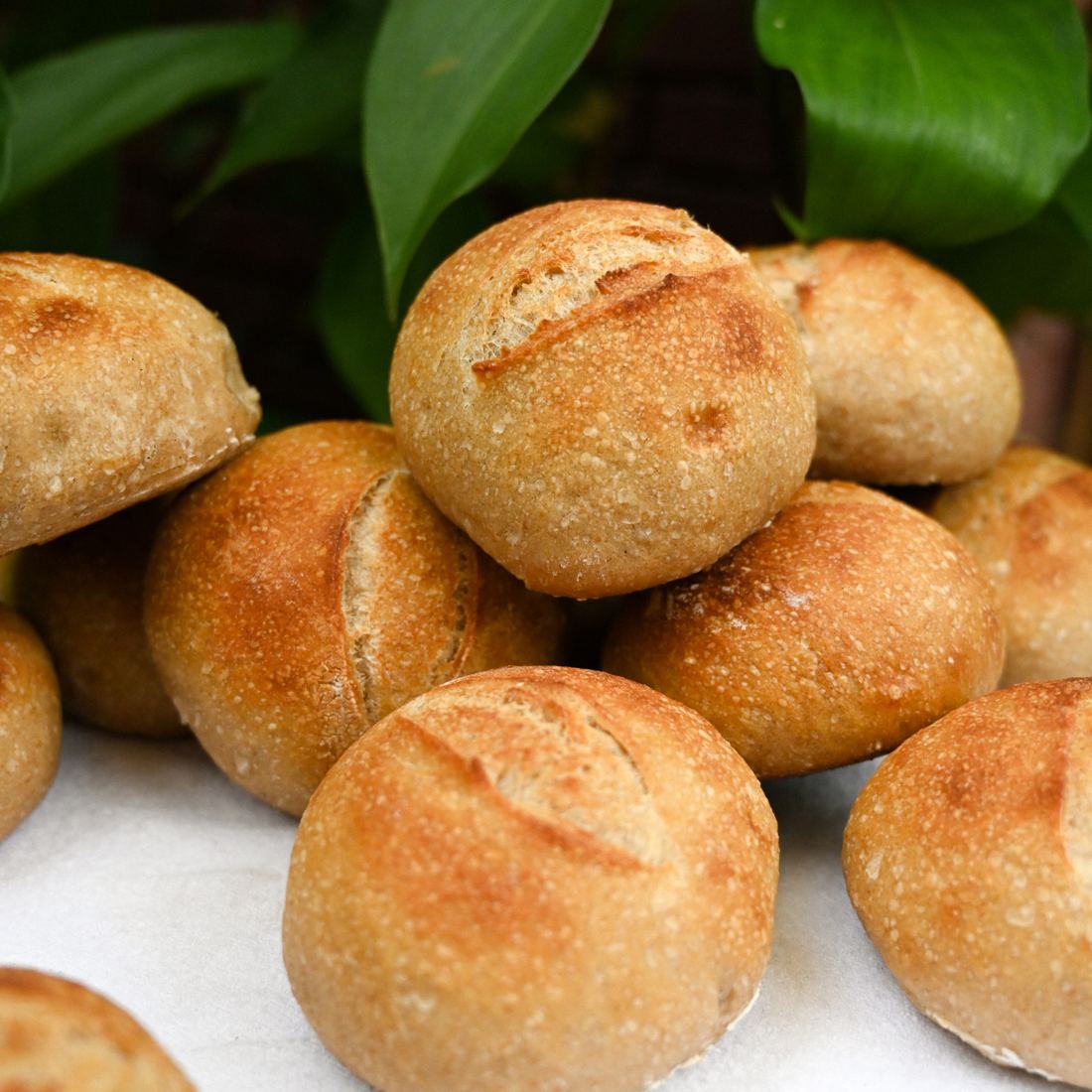 TPK&B Sourdough Dinner Roll (Petits Pains) thumbnail 2